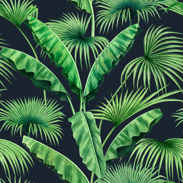 Watercolor painting tree ,banana,palm leaves seamless pattern on dark background.Watercolor hand drawn illustration tropical exotic leaf prints for wallpaper,textile Hawaii aloha jungle pattern.