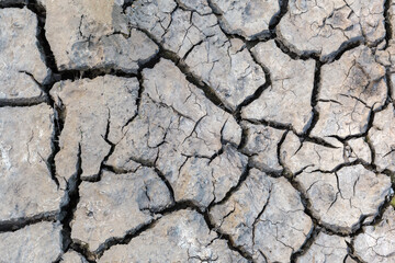 Ground covered with deep cracks during the drought