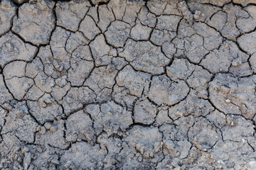 Top view of dried cracked mud in place of puddle