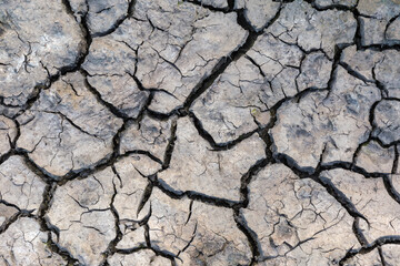 Dried ground covered with deep cracks, top view close-up