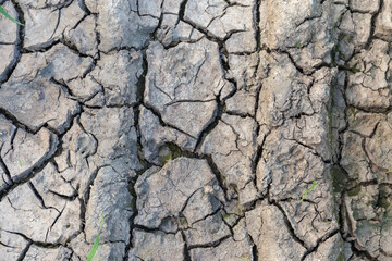 Top view of dried cracked mud in place of puddle
