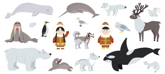 Polar animals. Cute arctic animal, walrus bear whale. Fun antarctic flat wildlife, penguin and alaska baby with dog. Eskimo characters decent vector set