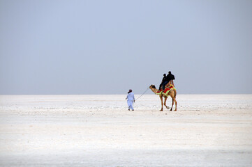 Closeup shot of tourists on a camel with a guide in desert of white salt in Dhordo village, India