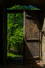 Dzrzwi do lasu