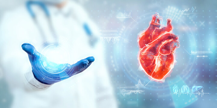 The doctor looks at the Heart hologram, checks the test result on the virtual interface, and analyzes the data. Heart disease, myocardial infarction, innovative technologies, medicine of the future.