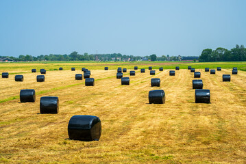 Panoramic landscape with packed hay
