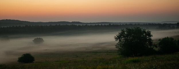 Świt oraz mgła nad łąką