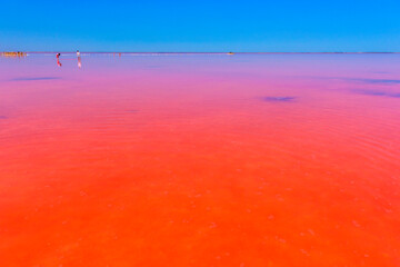 Sasyk-Sivash lake, Crimea. People take mud baths and take pictures on a unique pink lake