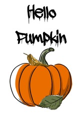 Autumn poster with a pumpkin and the inscription hello autumn. Cartoon,pumpkin. 