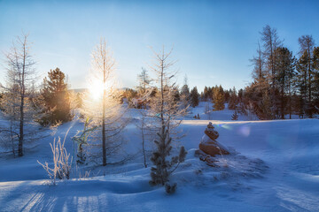 Winter sunrise in Altai, in the foreground trees in hoarfrost