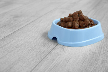 Wet pet food in feeding bowl on floor, space for text