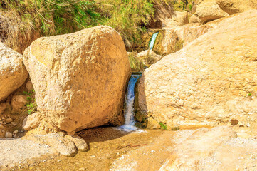 The yellow rocks in Ein Gedi nature reserve, Israel.