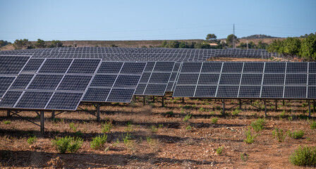 Solar panels energy field in Mallorca