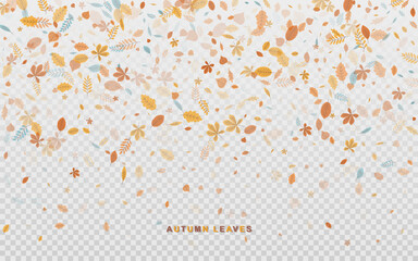 Red brown and yellow leaves falling on a transparent background. Vector illustration.