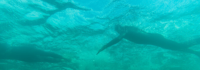 Triathlete swimming in a lake, underwater perspective