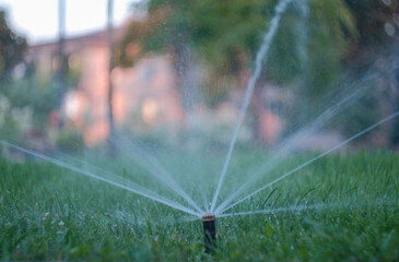 Automatic watering of the green grass lawn. Garden watering system Lawn watering.
