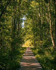 Darßer Ort an der Ostsee