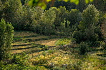 A beautiful farm located in Kishen-Abaad Baghlan, Afghanistan