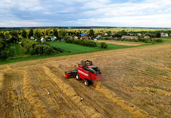 Combine harvester working in wheat field. Harvesting machine during cutting crop in a farmland. Combines during grain harvesting. Flour and bread production. Grain market in the world.