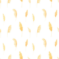 Pampas grass watercolor seamless pattern on white background. Perfect for textile, covers, fabric. 