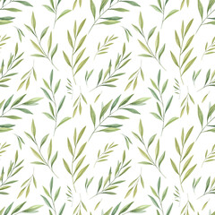 Watercolor olive leaves seamless pattern on white background. Greenery digital paper. Perfect for textile, covers, wrapping paper, fabric. 