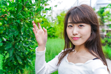 果物狩り・収穫