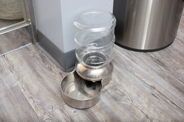 A view of a dog water bowl, seen at a local restaurant.