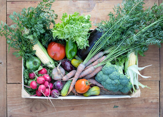 Flat lay of fresh bio vegetable in a wooden box. The concept of healthy food.