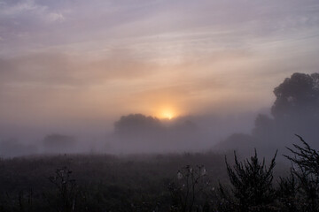 dawn on a foggy morning