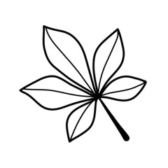 Chestnut leaf in line style in black color. A simple vector illustration for an icon, label or coloring book