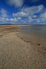 a sandy beach on kangaroo island