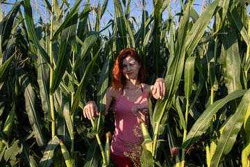 beautiful girl with red hair in a cornfield
