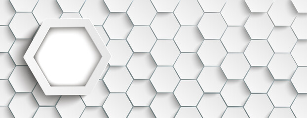 Obraz na płótnie Canvas Big Hexagons Structure Background Header