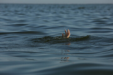 Fototapeta premium Drowning woman reaching for help in sea