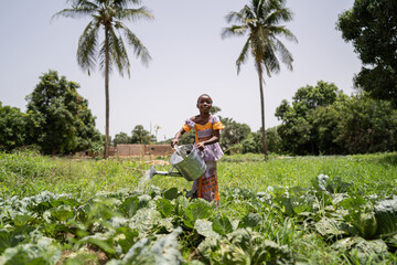 Proud little African girl watering cabbage plants from a big metal can with two scenic palm trees in the background © Riccardo Niels Mayer