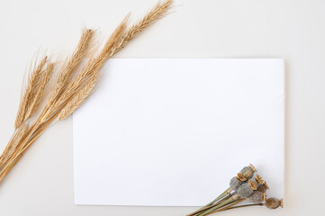 paper with wheat ears