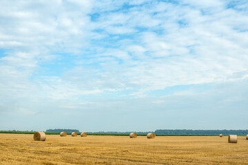 countryside with sky, farm field, harvest time, hay bales between stubbles.