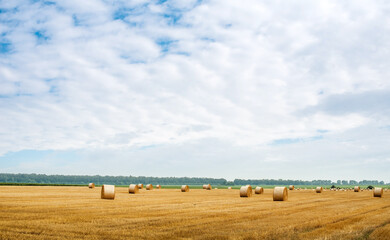 Fototapeta na wymiar field with straw in bales roll and stubble and beautiful sky