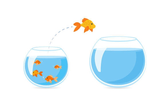 Fish escape fishbowl diagram. Clipart image