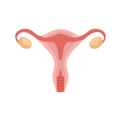 Woman uterus icon flat isolated vector