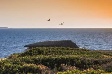 natural bay between the sea and rocks at sunset.birds over the sea