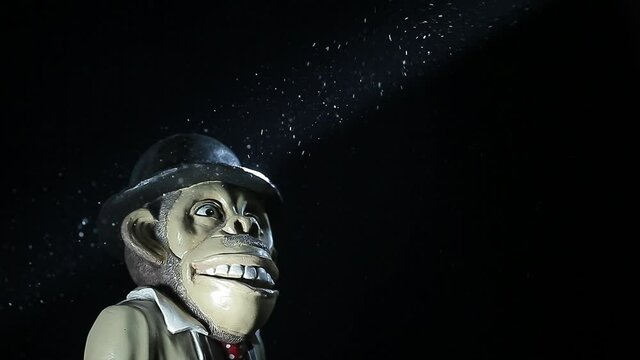 footage of monkey dust dark background 