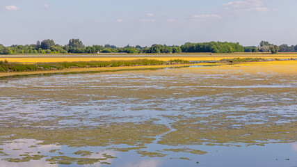 Reserve Lake South Hungary