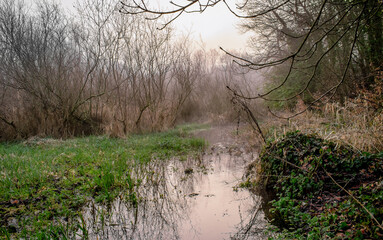 Foggy Sunrise at Canal in Ireland