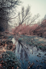 Foggy Sunrise at Canal in Ireland