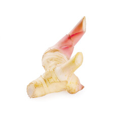 Galangal an isolated on white background