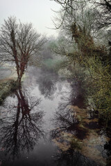 Foggy Sunrise at Canal in Ireland