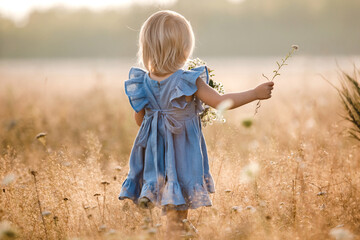 little girl is wearing in a blue dress in a field on summer sunny day. Portrait of adorable little...