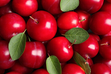 Fresh ripe cherry plums as background, closeup