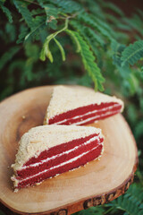 Close up of red velvet cake with green plants in the background.